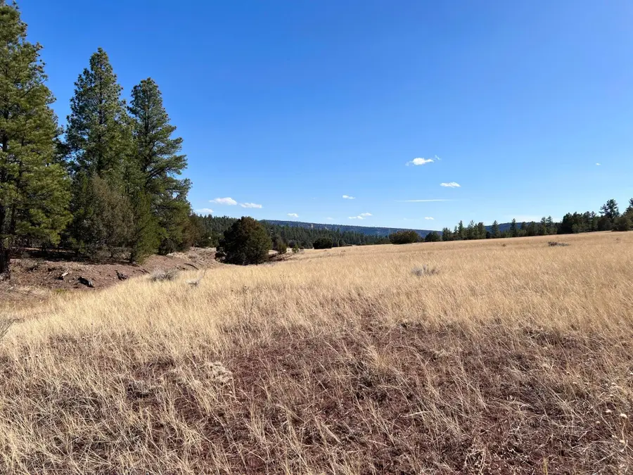 Lot 9 Juniper Drive, Ramah, NM 87321 - #3