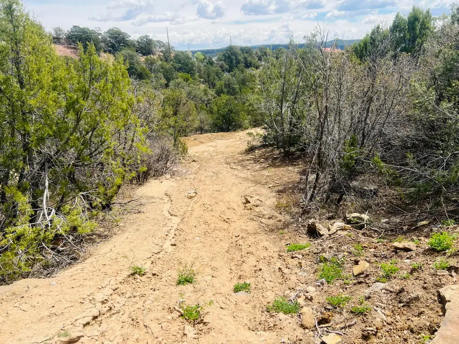 9 Boulder Lane, Cedar Crest, NM 87008 - #3