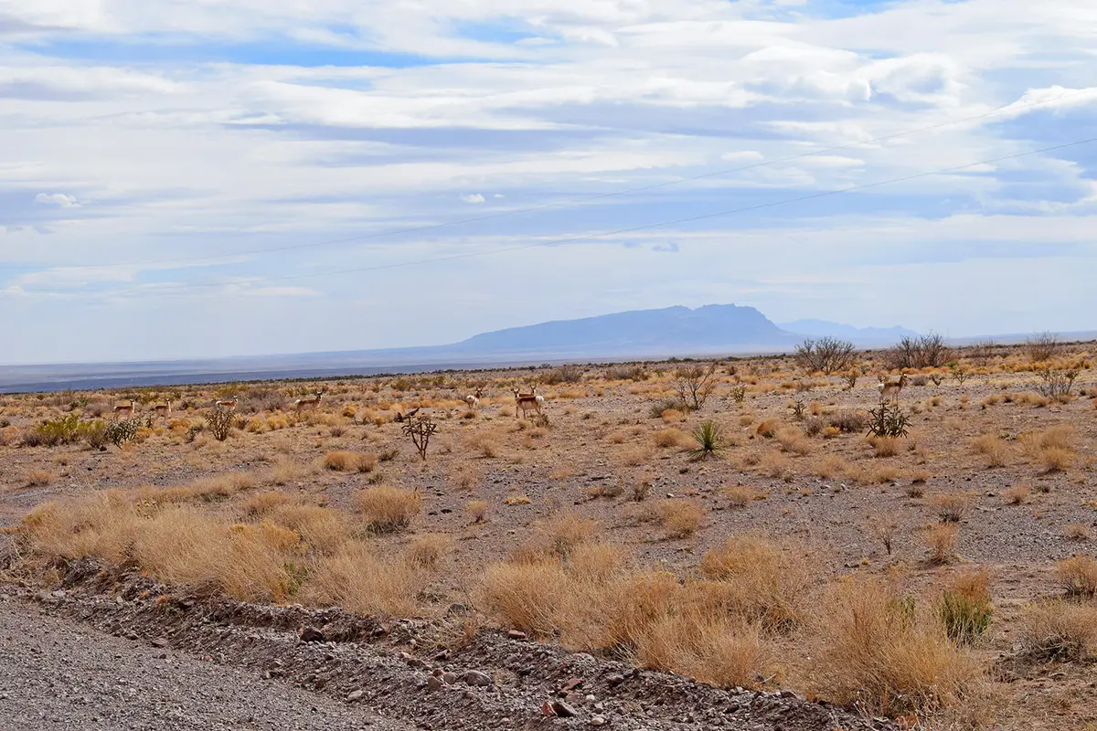 Lot 124 Rolling Hills, San Antonio, NM 87832 - #1