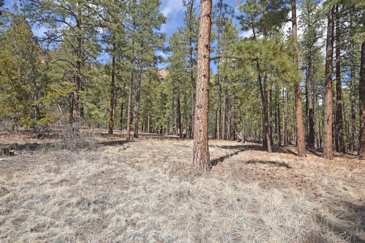 Lot 49 A Cool Pines, Jemez Springs, NM 87025 - #1