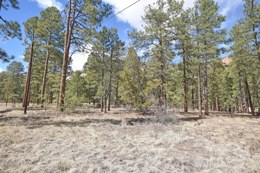 Lot 49 A Cool Pines, Jemez Springs, NM 87025 - #3