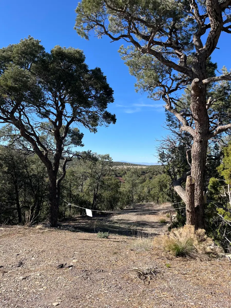 31 Camino Del Poniente, Tijeras, NM 87059 - #2