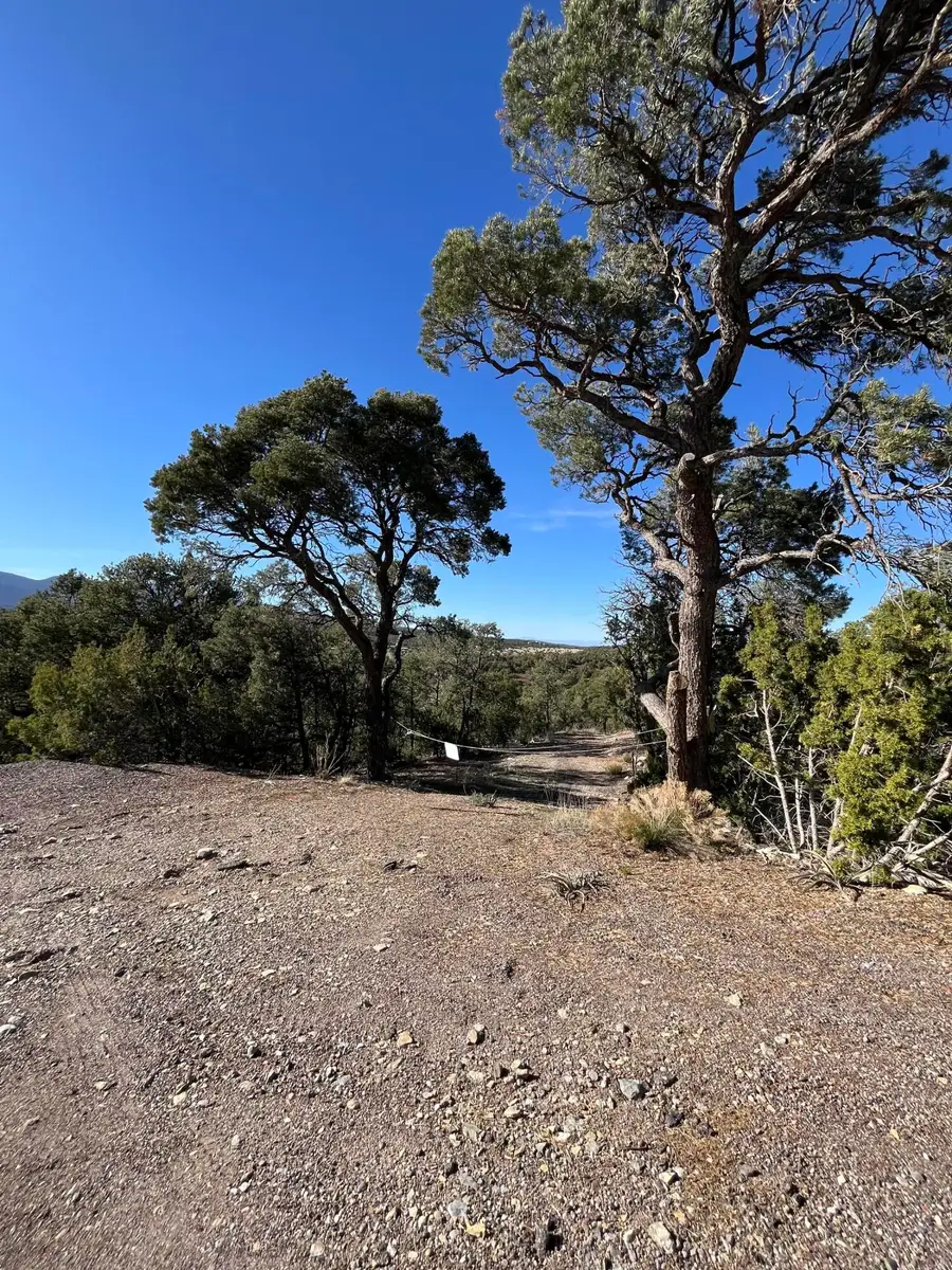31 Camino Del Poniente, Tijeras, NM 87059 - #3