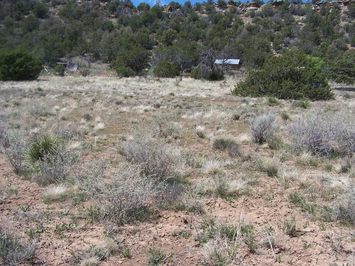 31 Candido Road, Tijeras, NM 87059 - #1