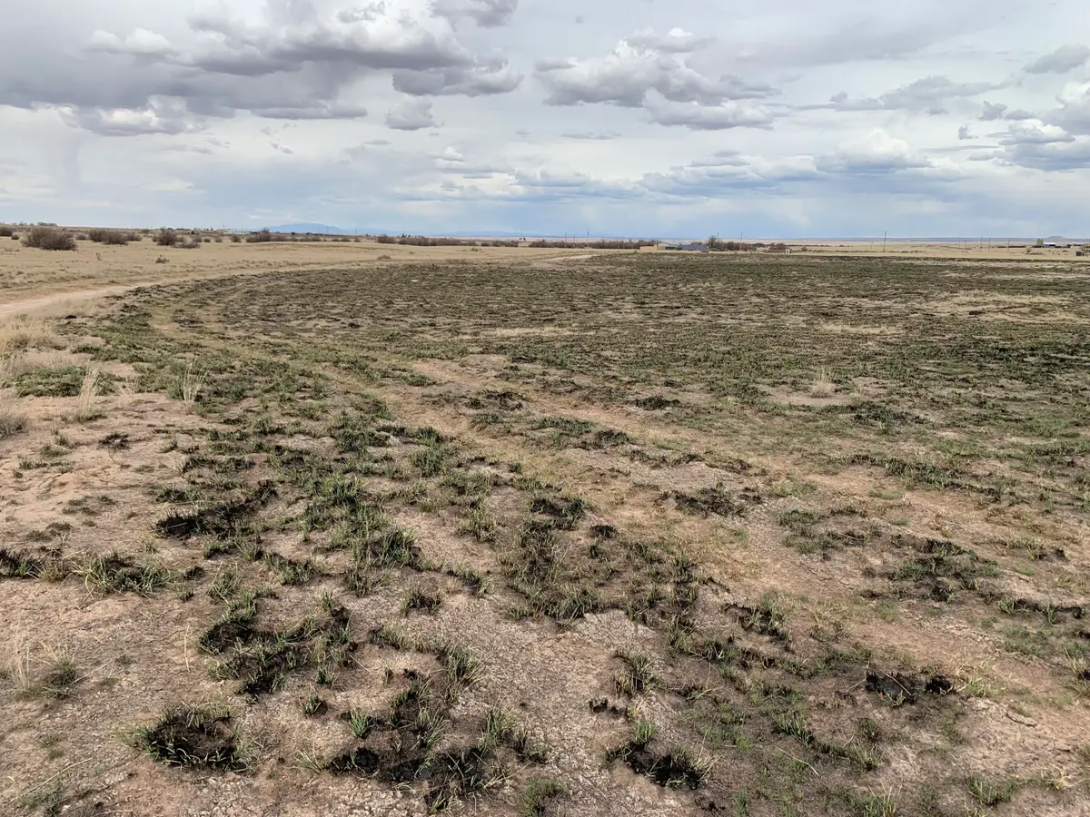 Parker Way - Lot 86, Moriarty, NM 87035 - #1