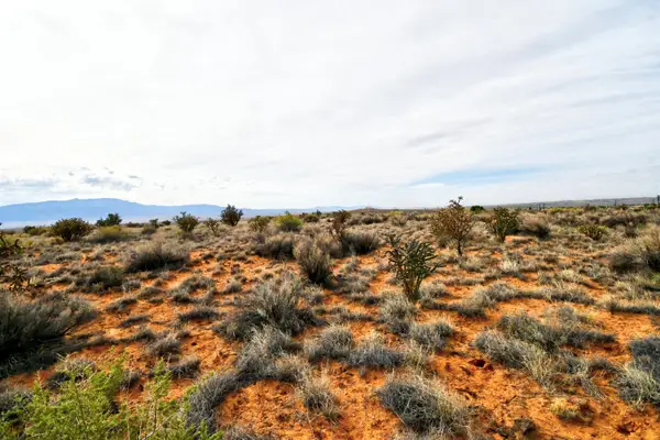 4521 Diane Street Ne, Rio Rancho, NM 87144