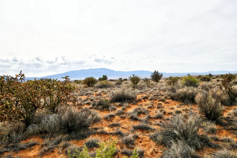 4521 Diane Street Ne, Rio Rancho, NM 87144 - #2