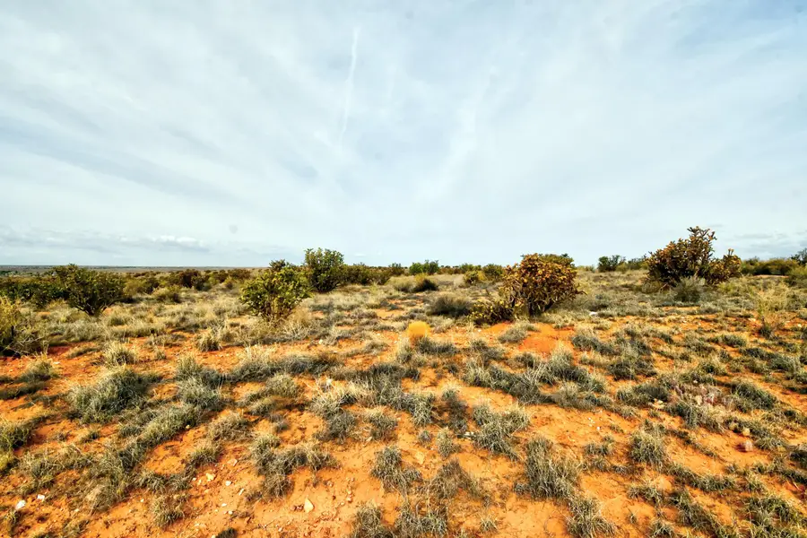 4521 Diane Street Ne, Rio Rancho, NM 87144 - #3