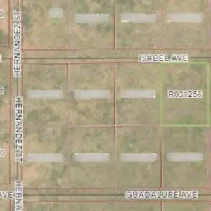 Isabel Avenue, Veguita, NM 87062 - #1