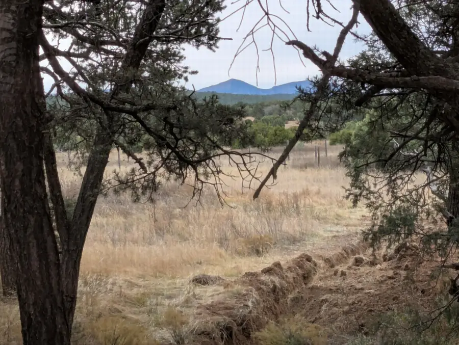 14 Falling Star Drive, Tijeras, NM 87059 - #2