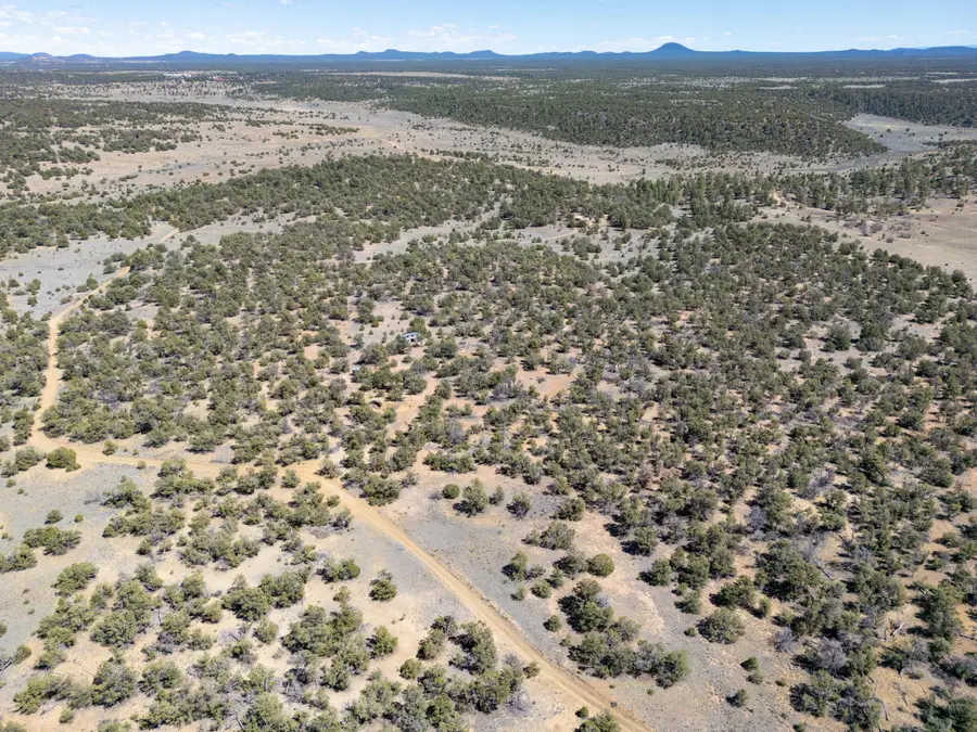42 Jackrabbit Trail, Ramah, NM 87321 - #3