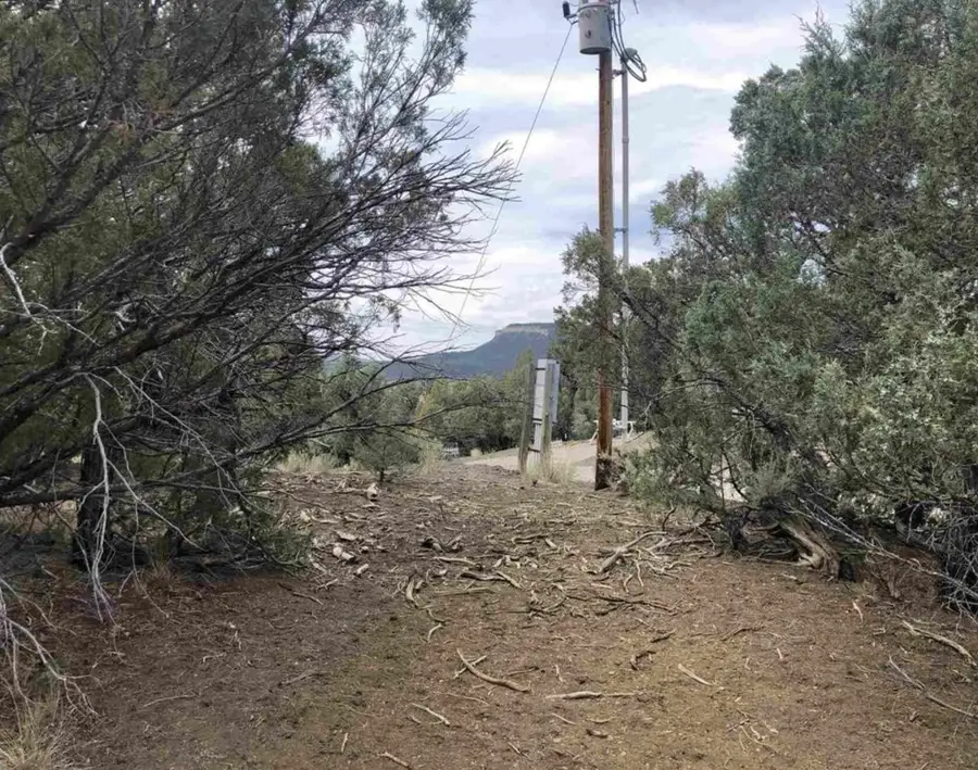 S S Leaning Lot A, Tierra Amarilla, NM 87575 - #2