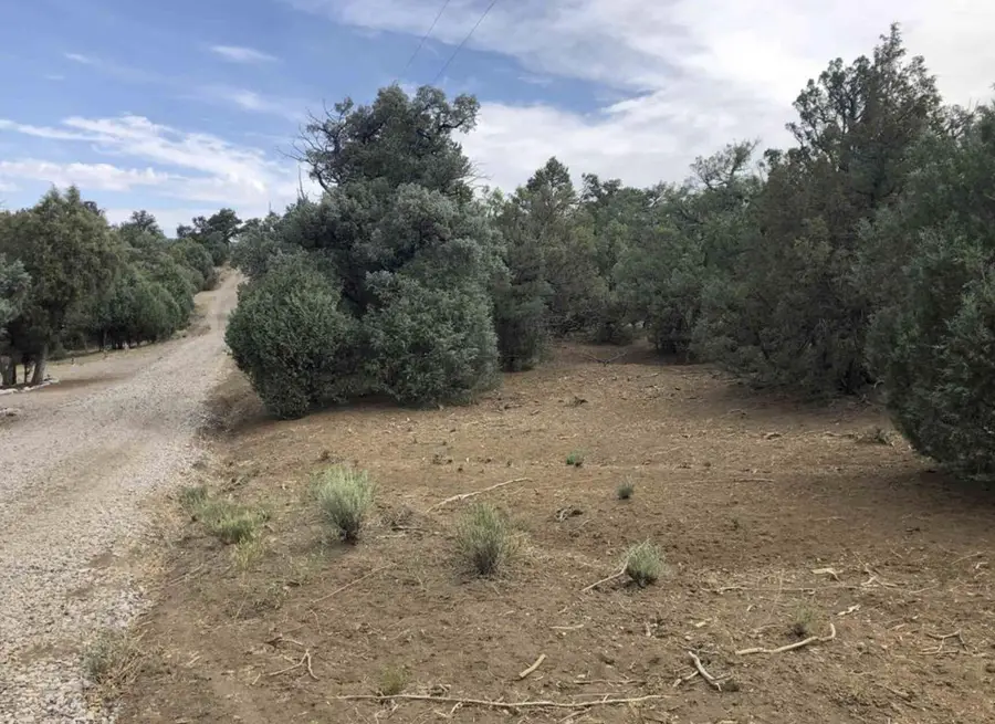 S S Leaning Lot A, Tierra Amarilla, NM 87575 - #3