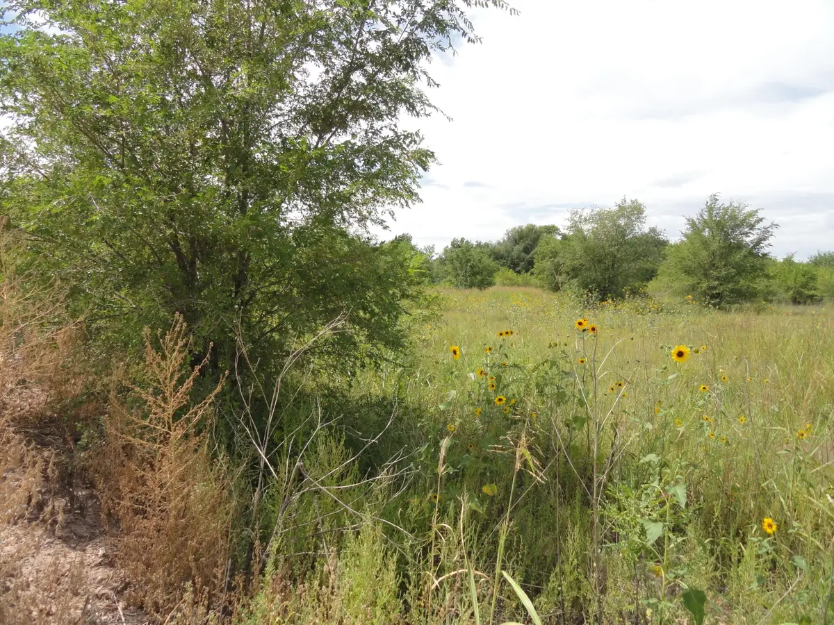 Molina Road, Peralta, NM 87042 - #1