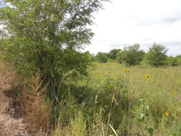 Molina Road, Peralta, NM 87042