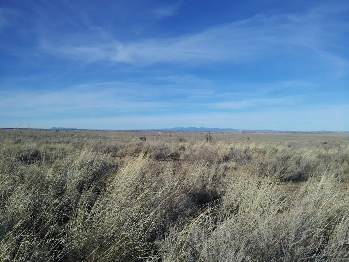 E1/2 Sw Ne Se Sec 12 T11n R1e Nw, Rio Rancho, NM 87124 - #1