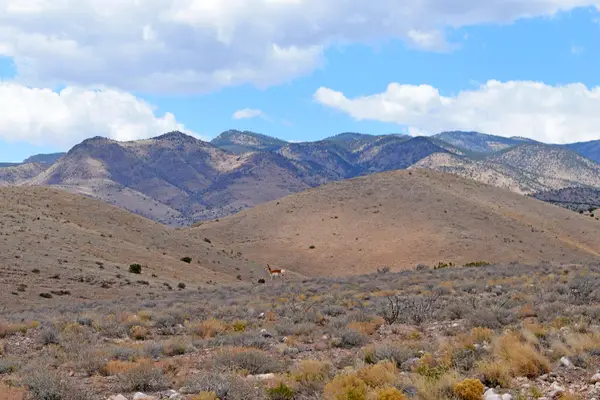 Lot 7 Painted Horse Road, San Antonio, NM 87832