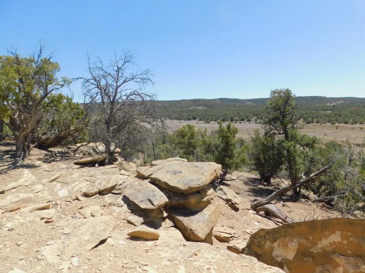 LOT 71 Alexis Road, Pie Town, NM 87827 - #1