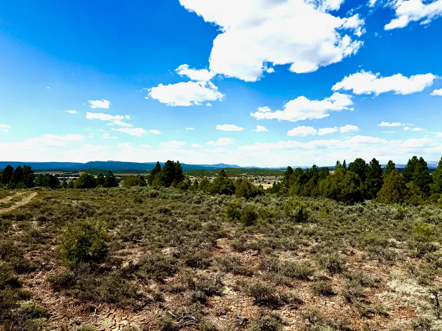 XX U.s. Highway 64, Chama, NM 87520 - #3