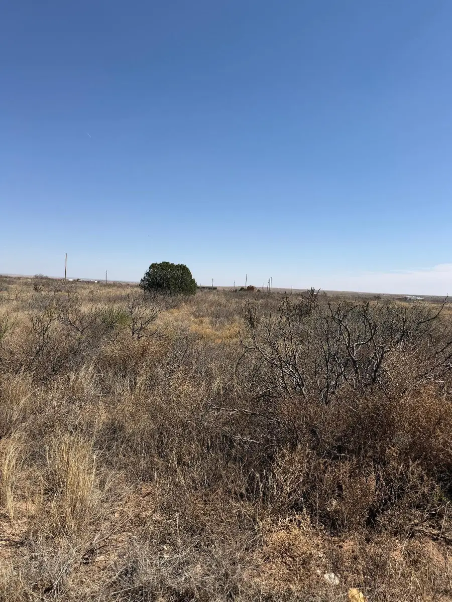 4920 Moore Circle, Fort Sumner, NM 88119 - #2