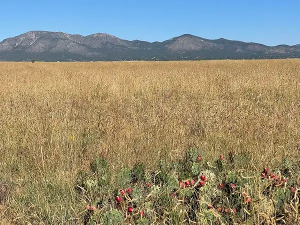 136 Moseley Road, Edgewood, NM 87015