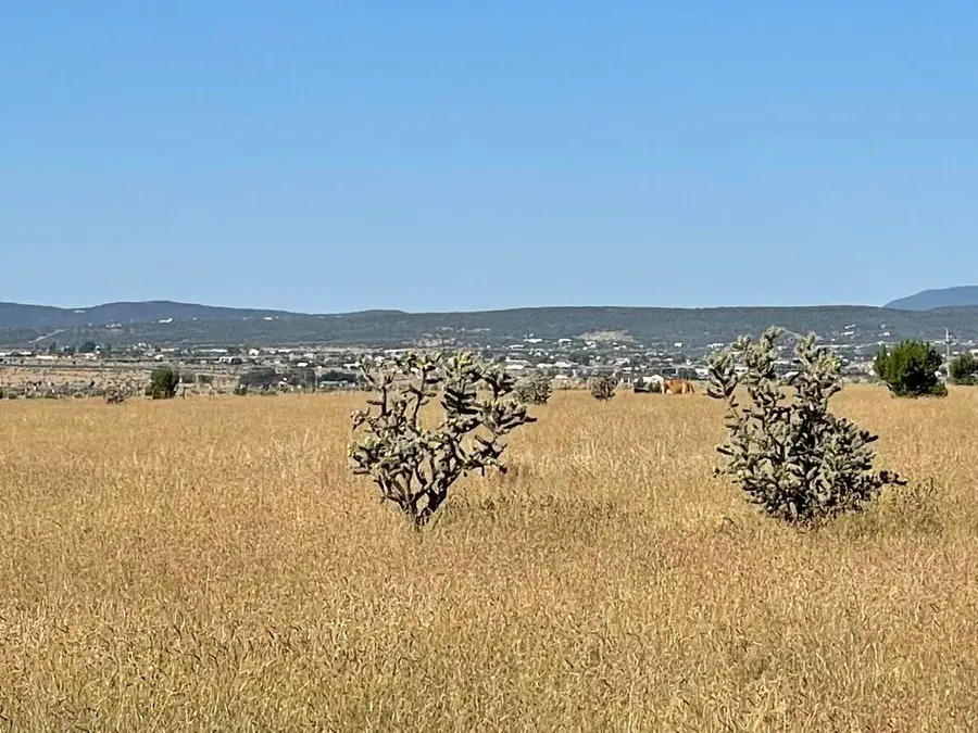 136 Moseley Road, Edgewood, NM 87015 - #3