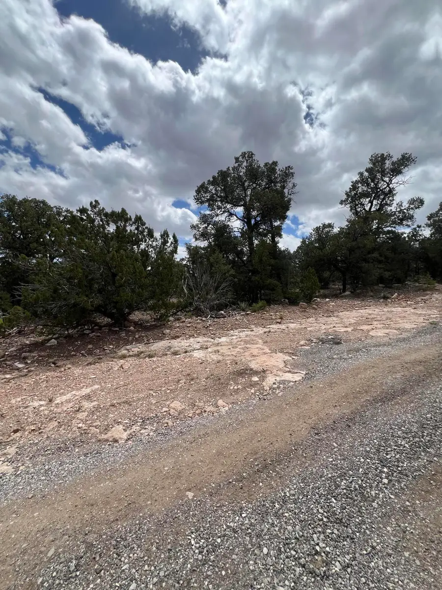 Lot 15 Marlin Road #15, Thoreau, NM 87323 - #2