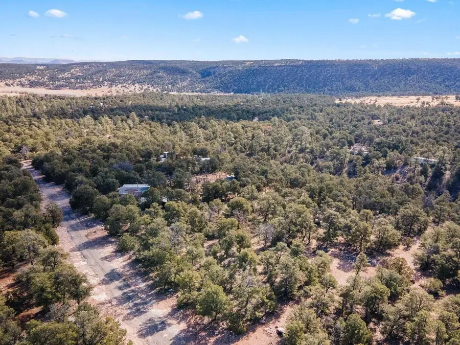 Lot 15 Marlin Road #15, Thoreau, NM 87323 - #3