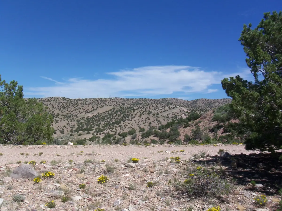 56 Camino De Las Brisas, Placitas, NM 87043 - #1