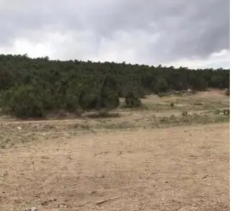 Lot 17 Wrye Rancho, Villanueva, NM 87583 - #2