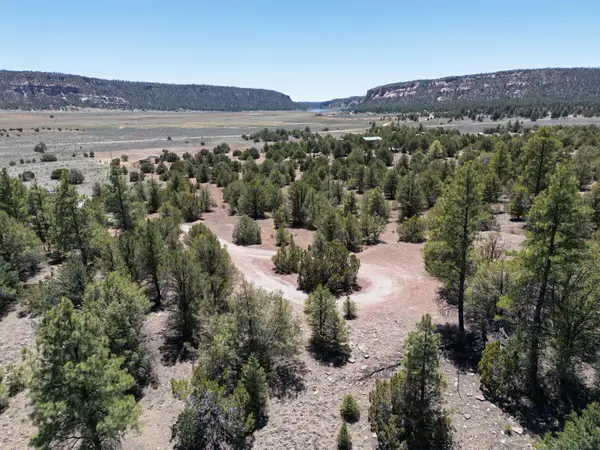 Lot 17 Buttonwood Drive, Ramah, NM 87321