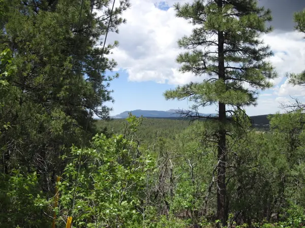 20 Estrella Vista Drive, Tijeras, NM 87059