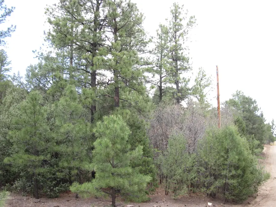 20 Estrella Vista Drive, Tijeras, NM 87059 - #2