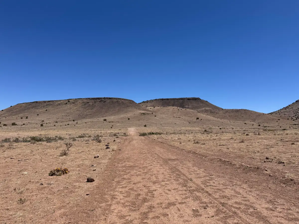 663 Willow Springs Ranch Road, San Antonio, NM 87832 - #1