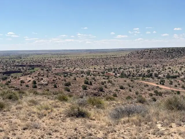 Lot 14 Hyline Place, Fort Sumner, NM 88119 - #1