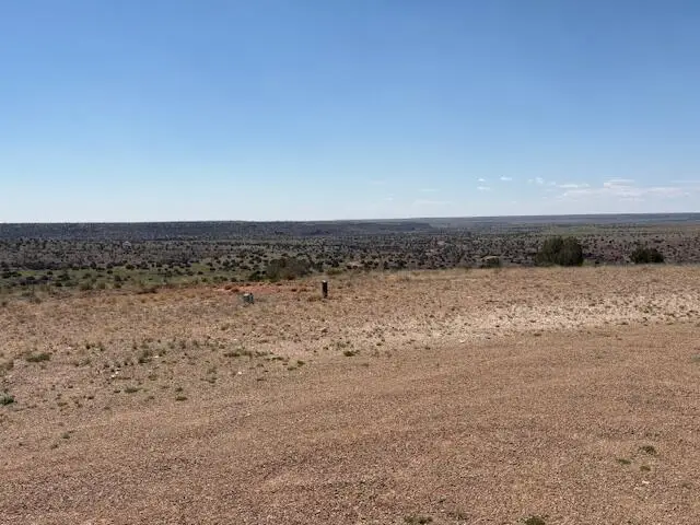Lot 14 Hyline Place, Fort Sumner, NM 88119 - #3
