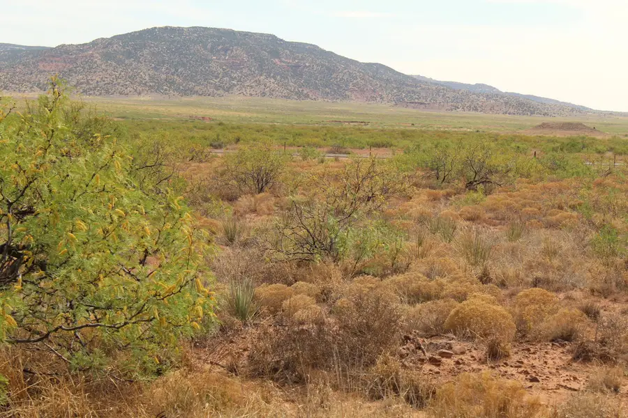 Lots 17-26 Nickel Lane, Conchas Dam, NM 88416 - #3