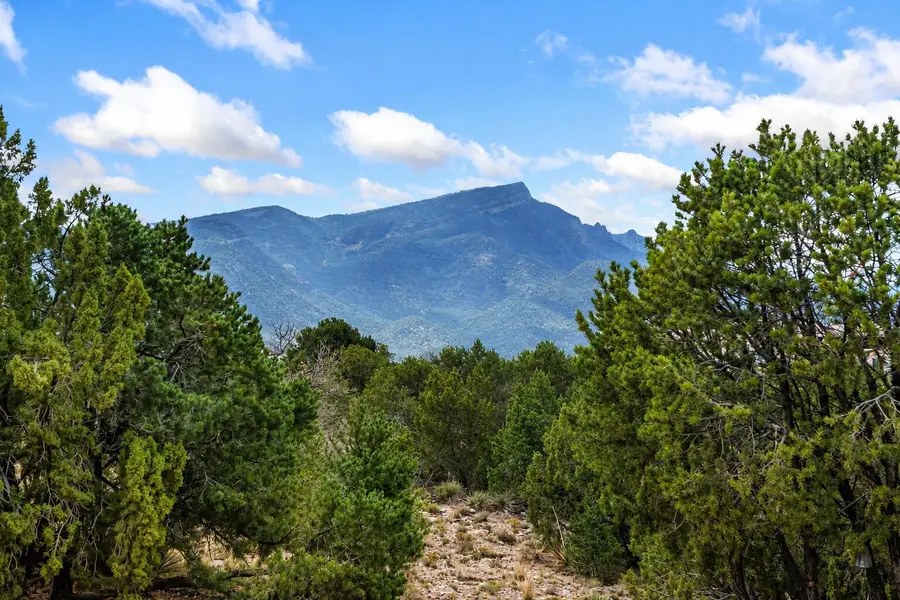 8 Sunrise Drive, Placitas, NM 87043 - #3