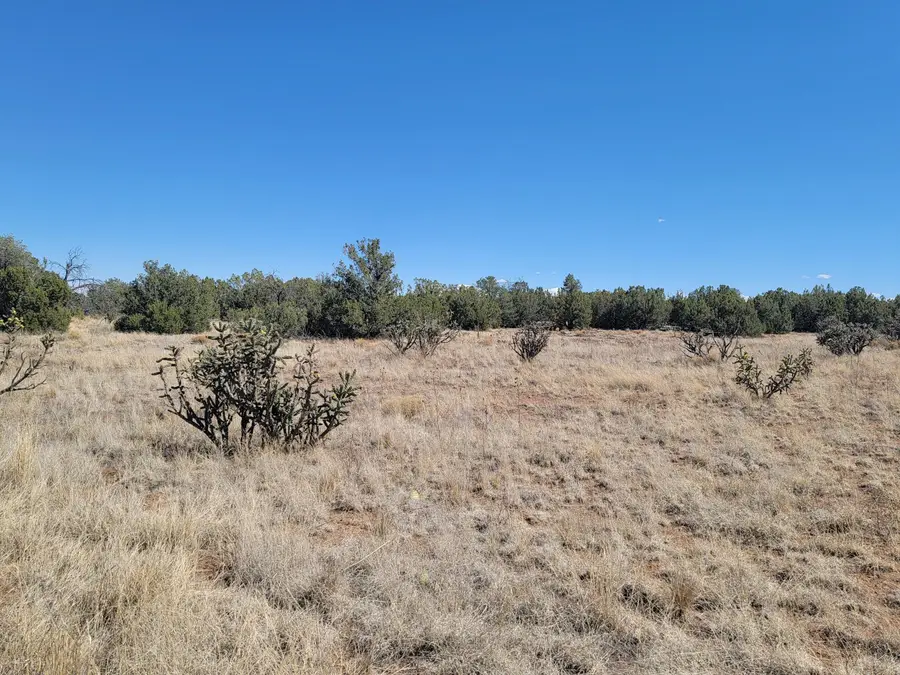 2000 Nm 333, Edgewood, NM 87015 - #2