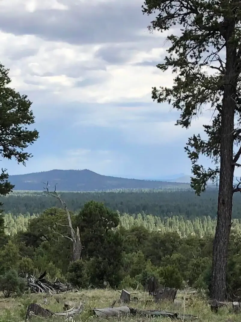 Cienfuegos Trail, Ramah, NM 87321 - #1