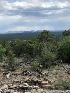 Cienfuegos Trail, Ramah, NM 87321 - #3