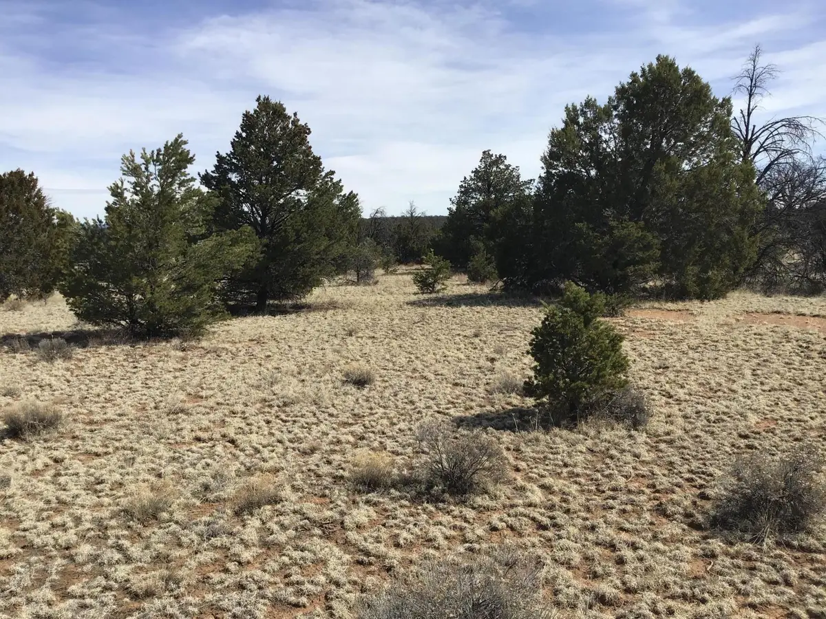 Lots 15-16 Country Lane, Ramah, NM 87321 - #1