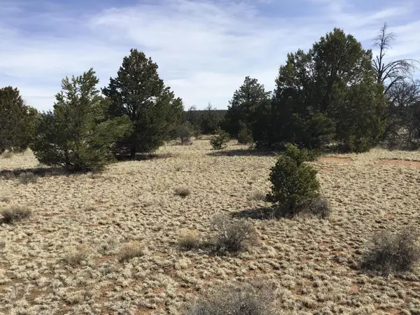 Lots 15-16 Country Lane, Ramah, NM 87321