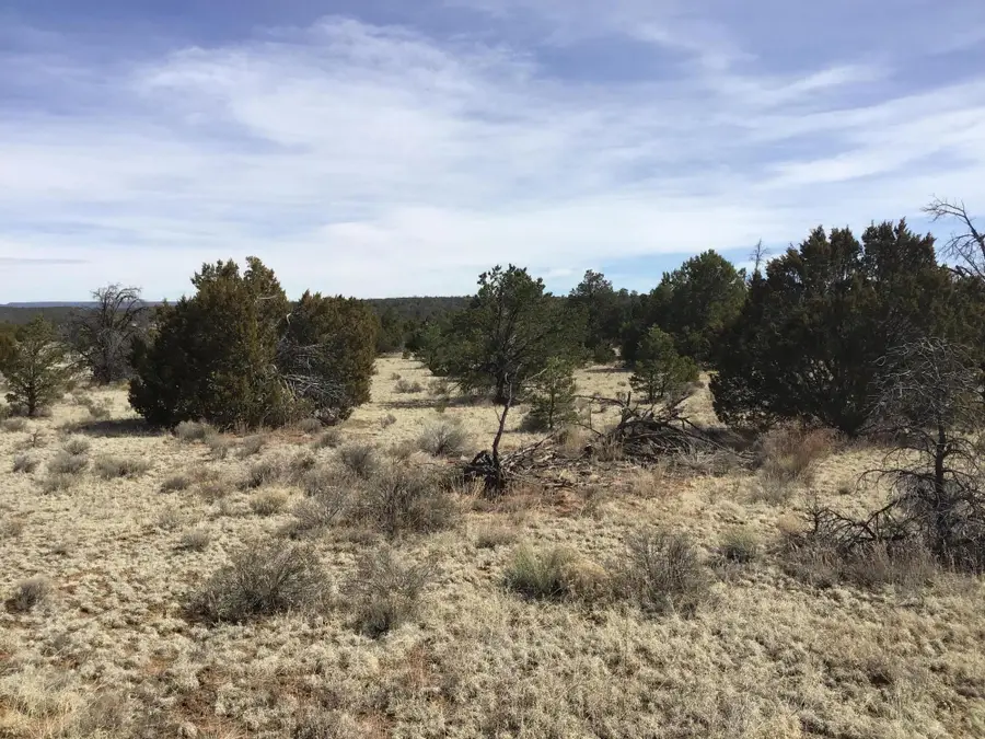 Lots 15-16 Country Lane, Ramah, NM 87321 - #3
