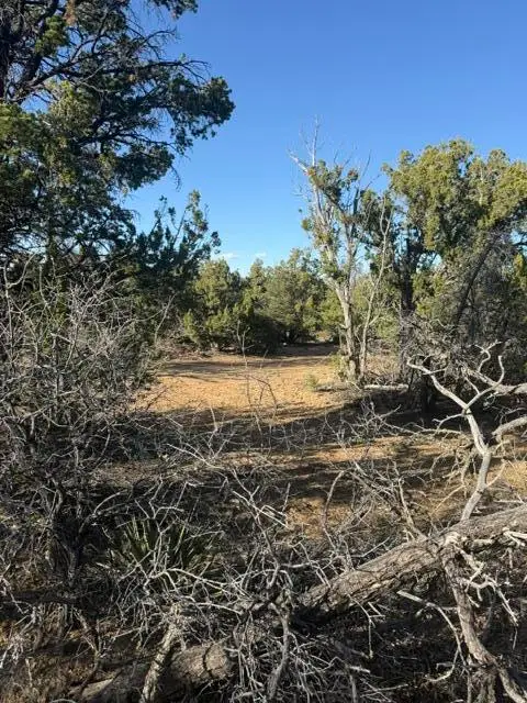 198 Jubilee Trail, Ramah, NM 87321 - #2