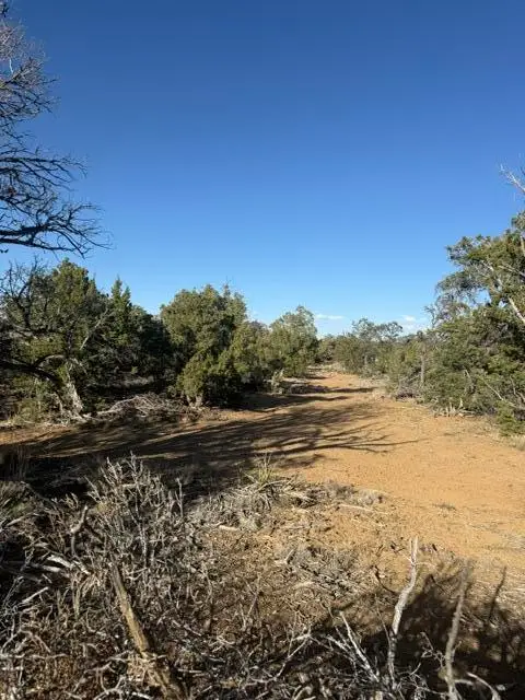 198 Jubilee Trail, Ramah, NM 87321 - #3