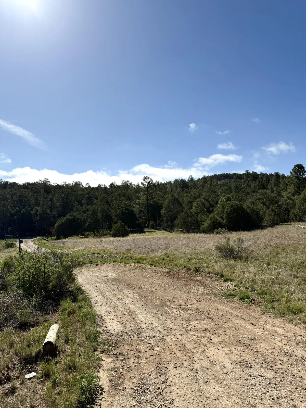 7 Moots Court, Tijeras, NM 87059 - #1