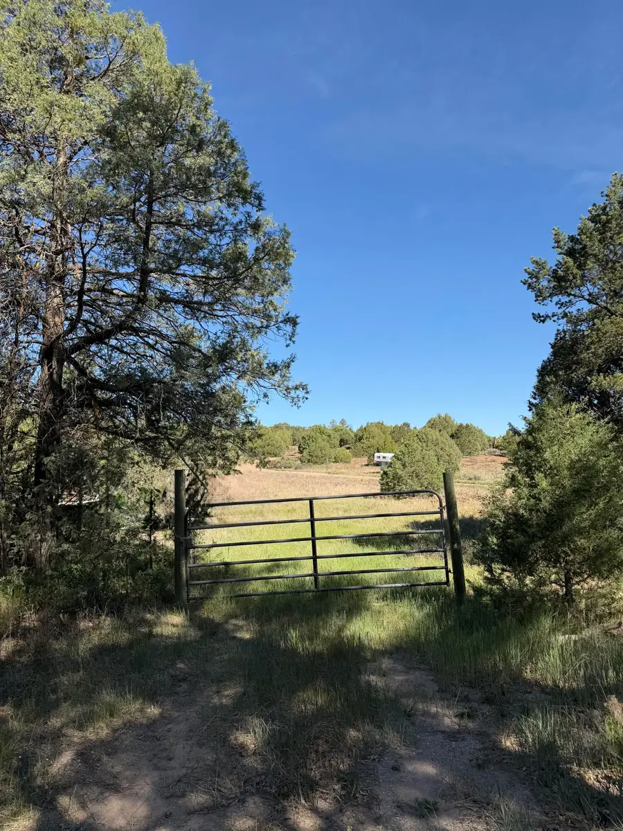 7 Moots Court, Tijeras, NM 87059 - #3