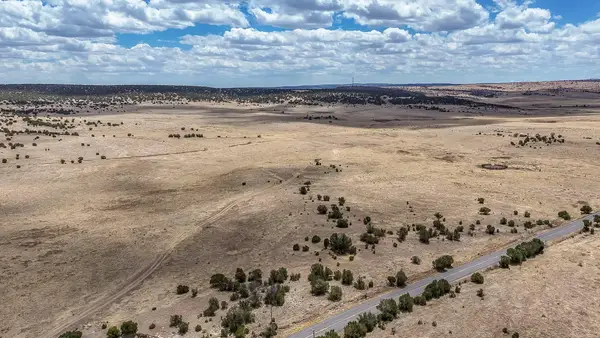 New Mexico 246, Capitan, NM 88316