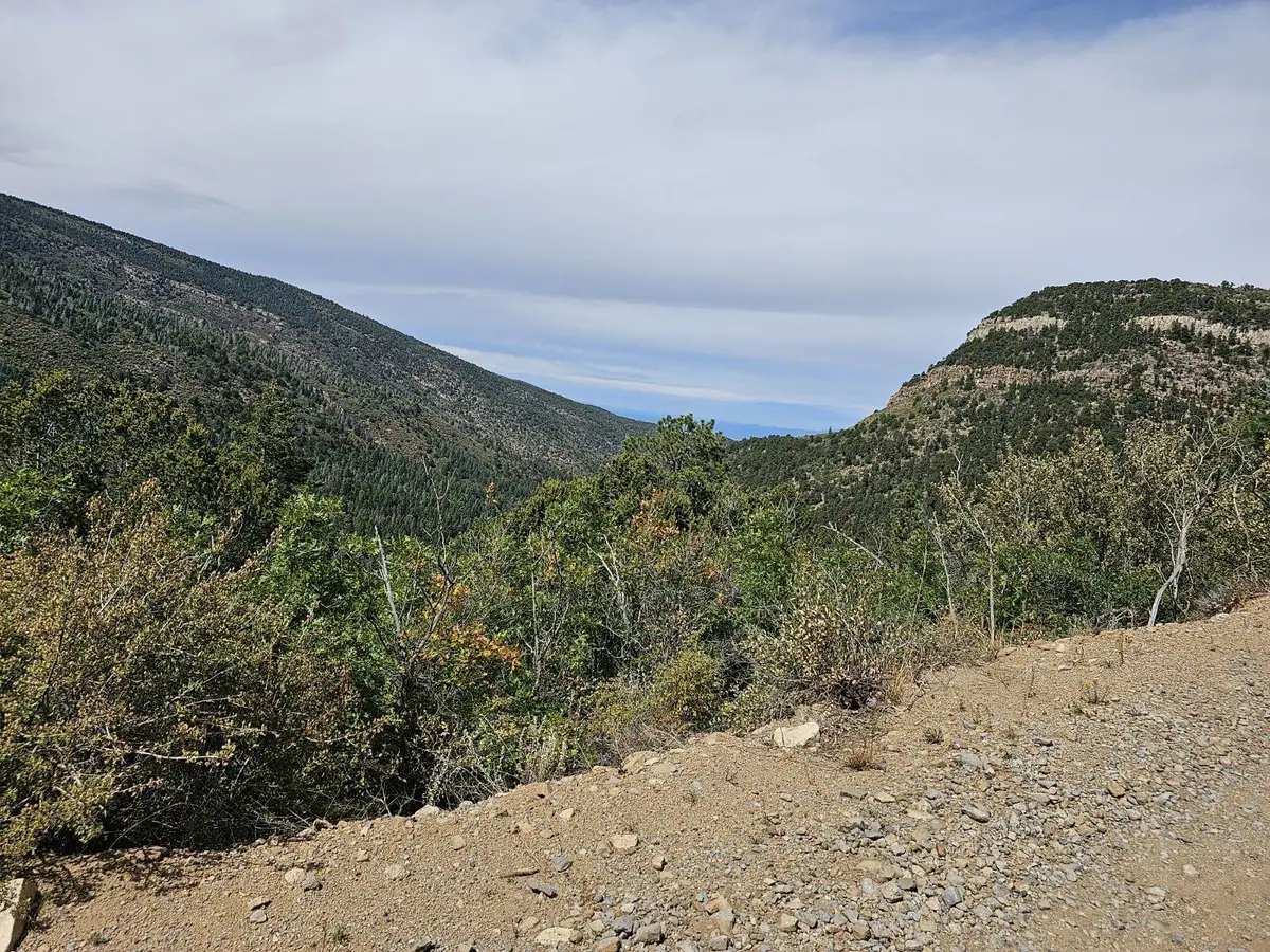 18 Canon Escondido Place, Sandia Park, NM 87047 - #1